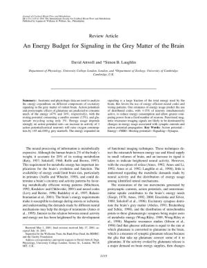 An Energy Budget for Signaling in the Grey Matter of the Brain