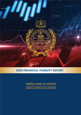 2020 Financial Stability Report
