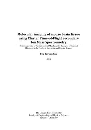 Molecular Imaging of Mouse Brain Tissue Using Cluster Time-Of-Flight