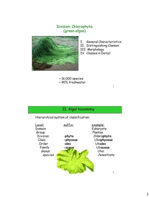 Division: Chlorophyta (Green Algae) II. Algal Taxonomy