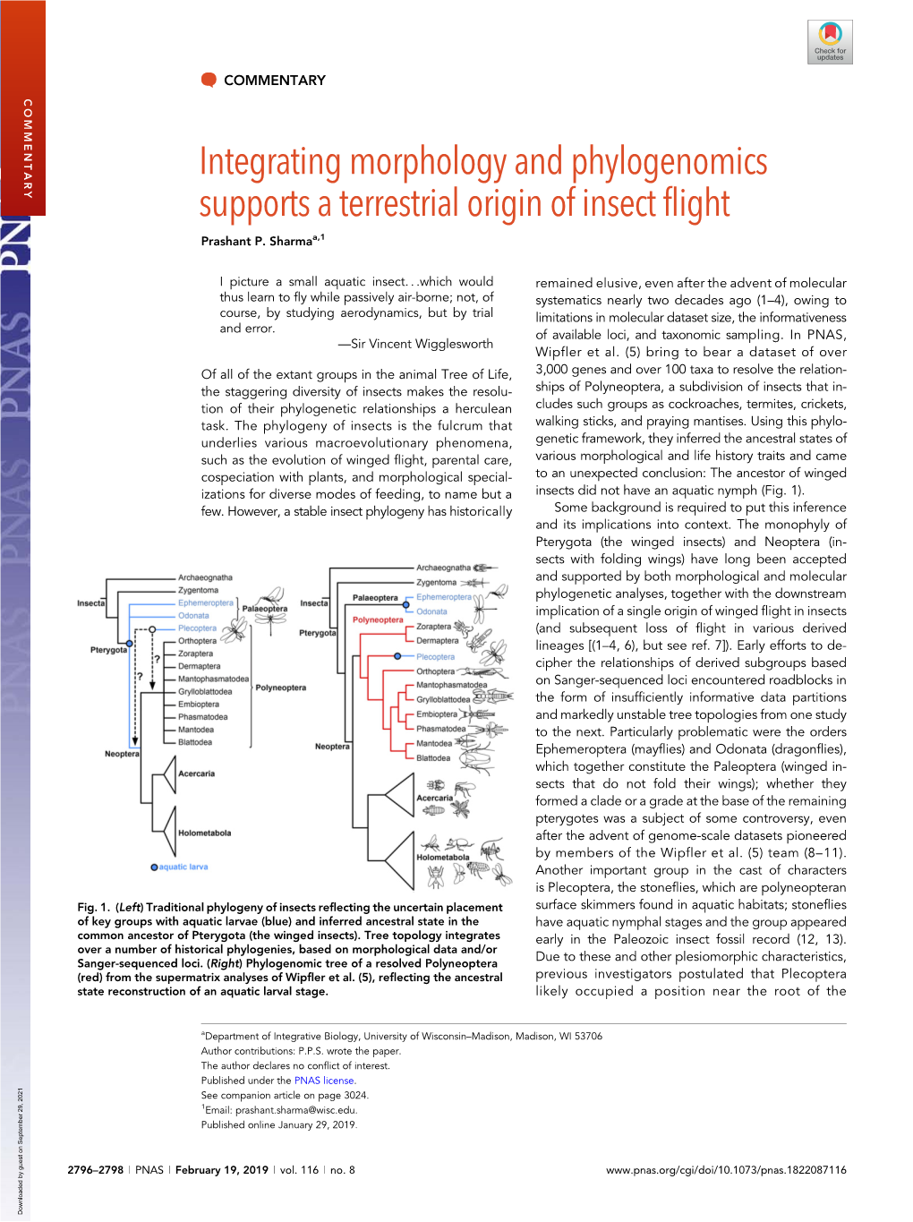 Integrating Morphology and Phylogenomics Supports a Terrestrial Origin of Insect Flight Prashant P