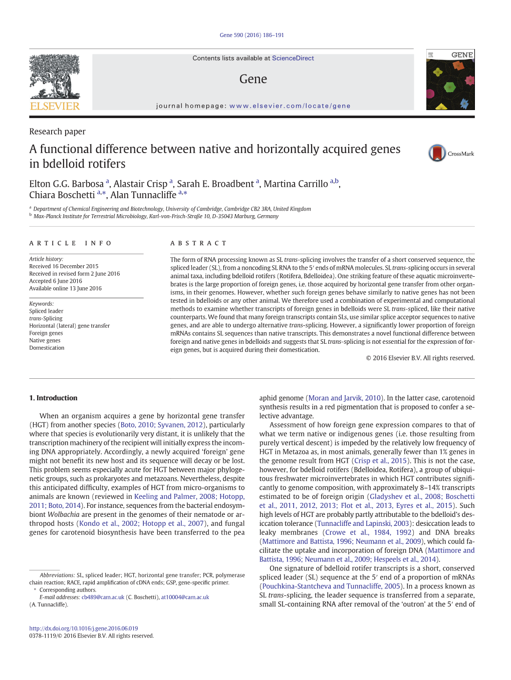 A Functional Difference Between Native and Horizontally Acquired Genes in Bdelloid Rotifers