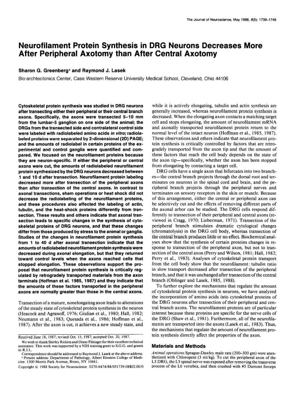 Neurofilament Protein Synthesis in DRG Neurons Decreases More After Peripheral Axotomy Than After Central Axotomy