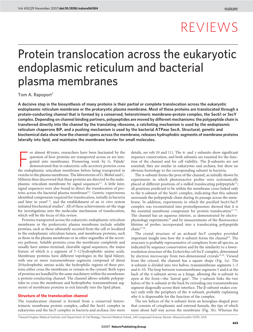 Protein Translocation Across the Eukaryotic Endoplasmic Reticulum and Bacterial Plasma Membranes