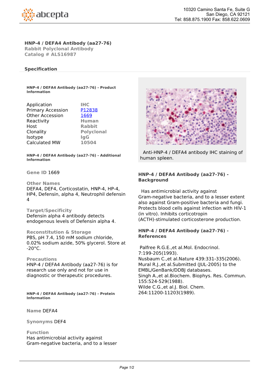 HNP-4 / DEFA4 Antibody (Aa27-76) Rabbit Polyclonal Antibody Catalog # ALS16987