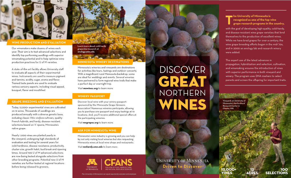 DISCOVER with Superior Performance in Both Vineyard and with a Magnificent Rural Minnesota Backdrop, Some Wines