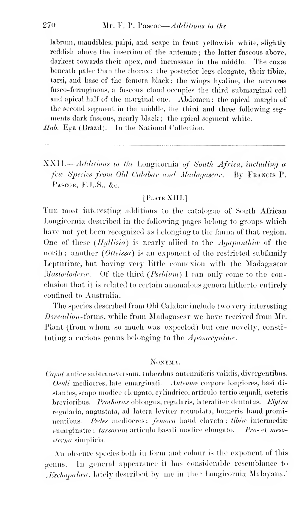 Additions to the Longicornia of South Africa, Including a Few Species From