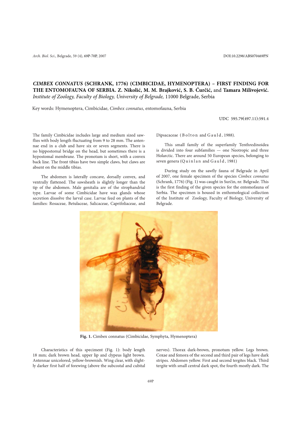 Cimbex Connatus (Schrank, 1776) (Cimbicidae, Hymenoptera) – First Finding for the Entomofauna of Serbia