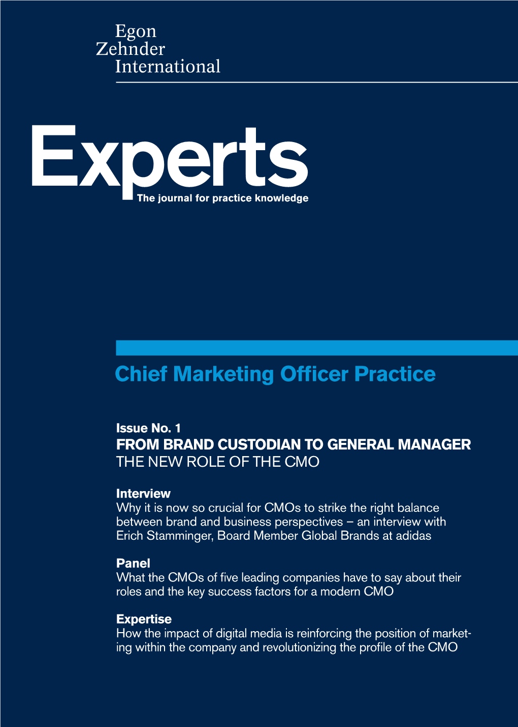 Chief Marketing Officer Practice