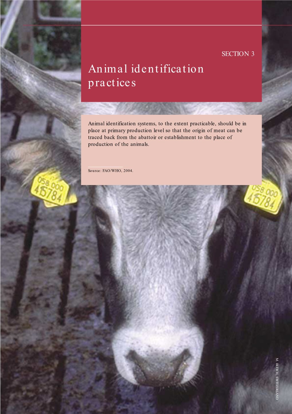 Animal Identification Practices