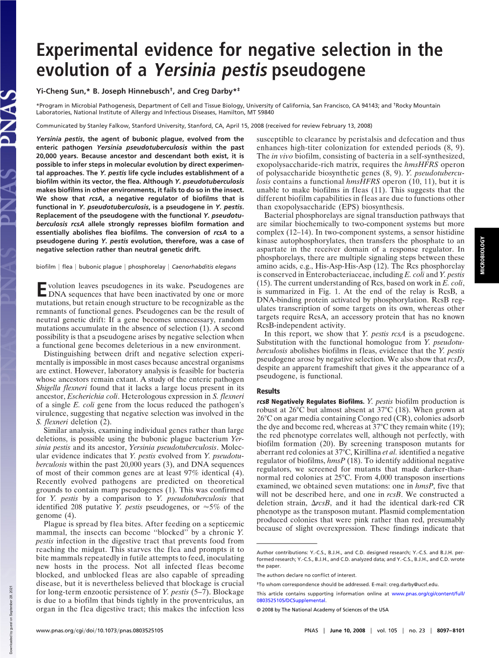 Experimental Evidence for Negative Selection in the Evolution of a Yersinia Pestis Pseudogene