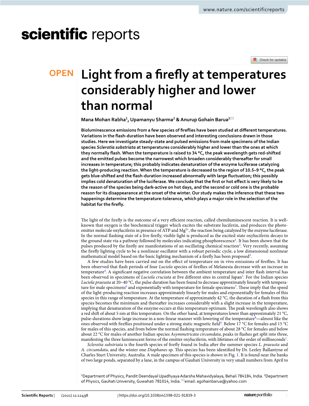 Light from a Firefly at Temperatures Considerably Higher and Lower Than Normal