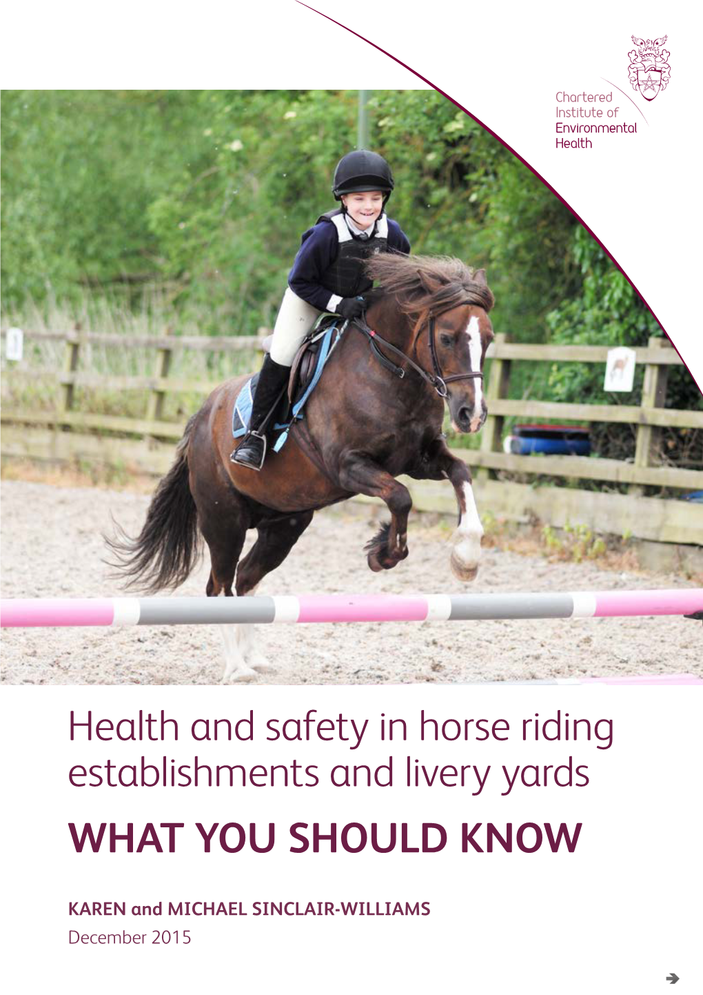 Health and Safety in Horse Riding Establishments and Livery Yards WHAT YOU SHOULD KNOW