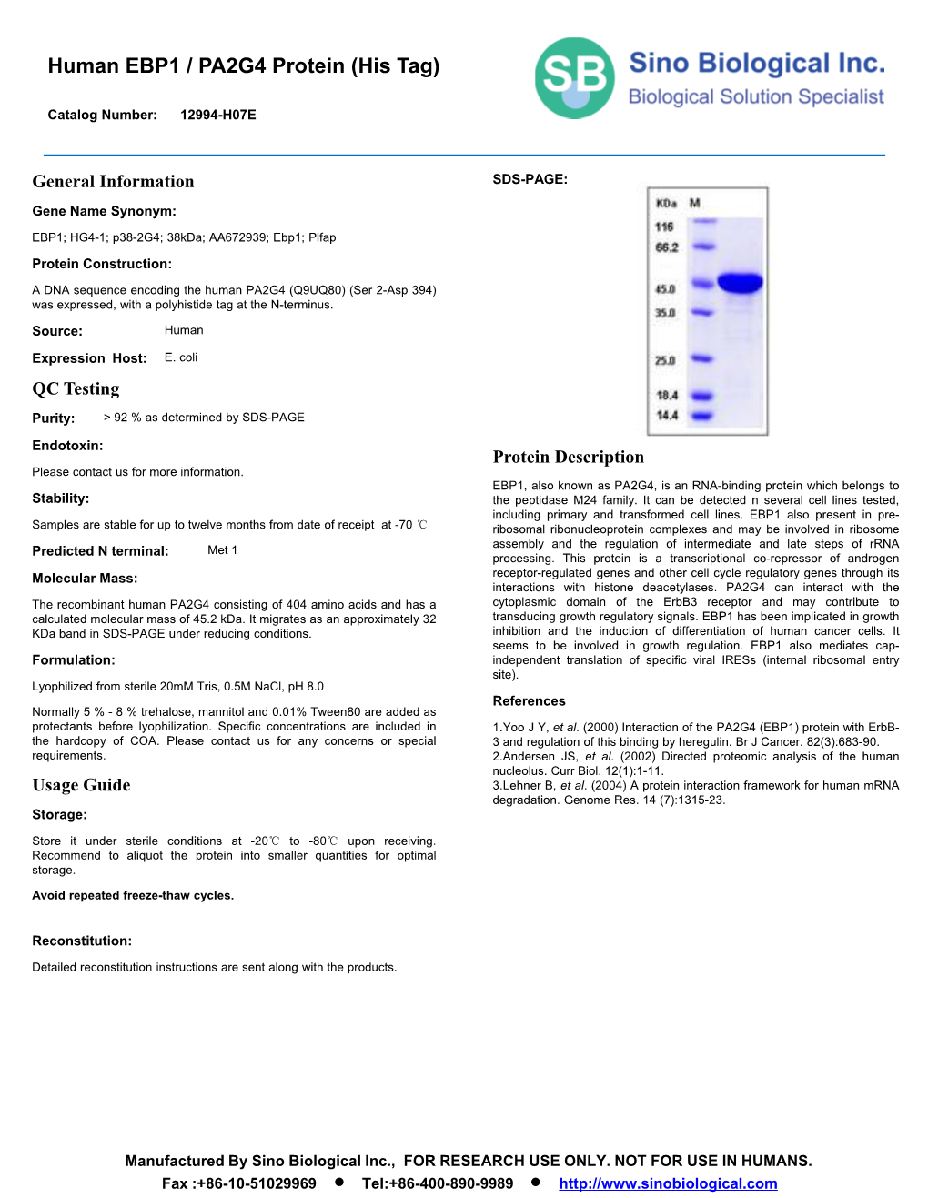 Human EBP1 / PA2G4 Protein (His Tag)