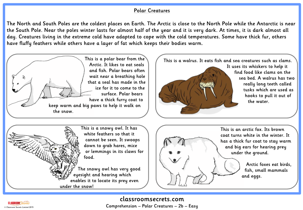 Challenge 2- Comprehension-Polar-Creature