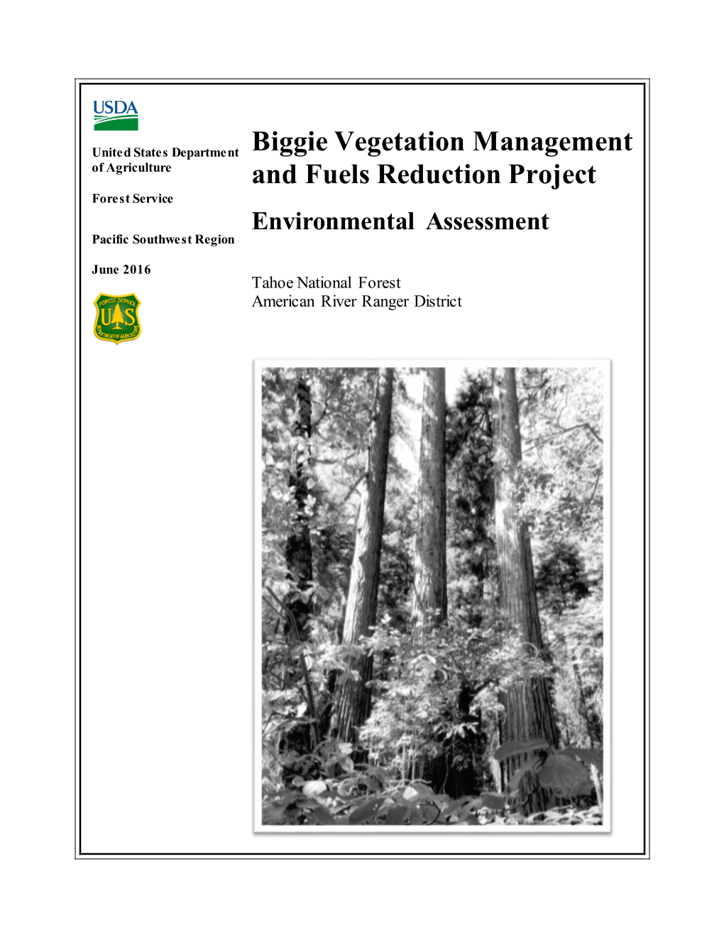 Biggie Vegetation Management and Fuels Reduction Project Environmental Assessment