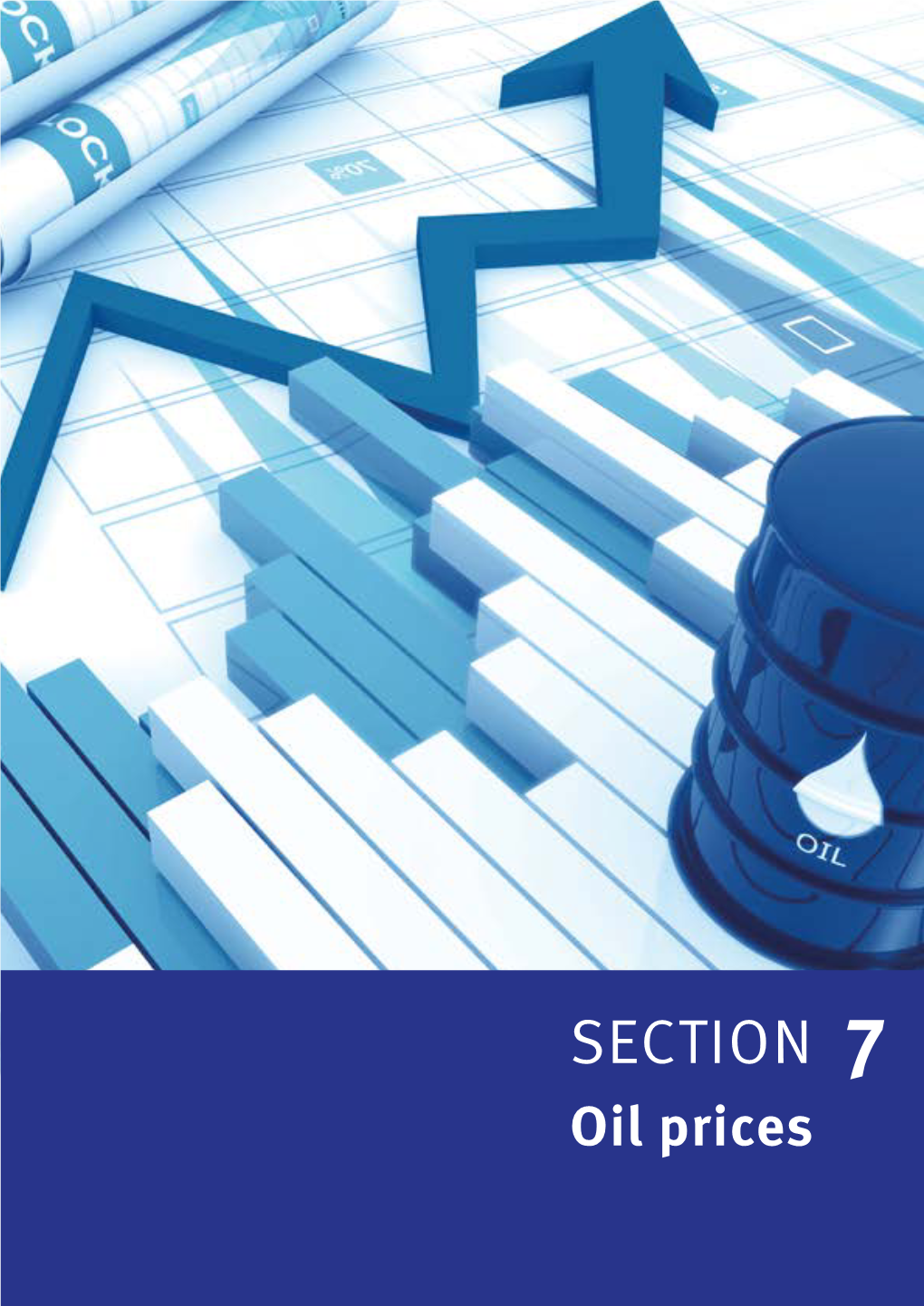 SECTION 7 Oil Prices