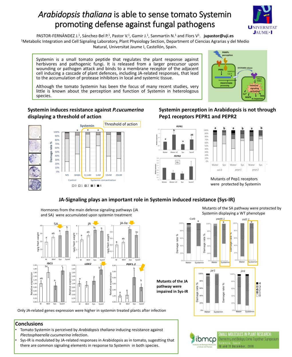 Arabidopsis Thaliana Is Able to Sense Tomato Systemin Promoting Defense