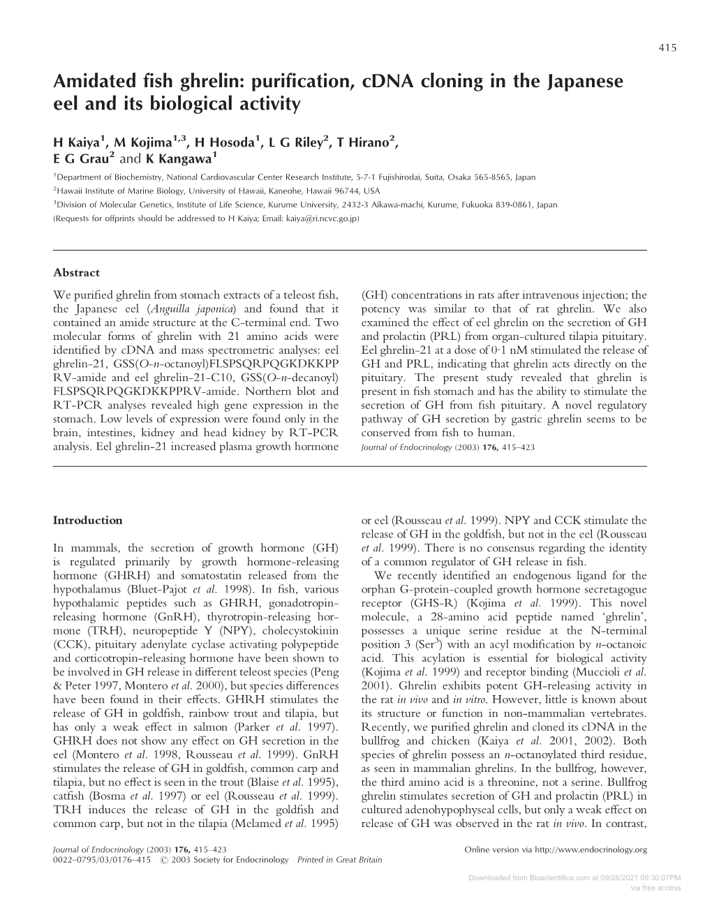 Amidated Fish Ghrelin