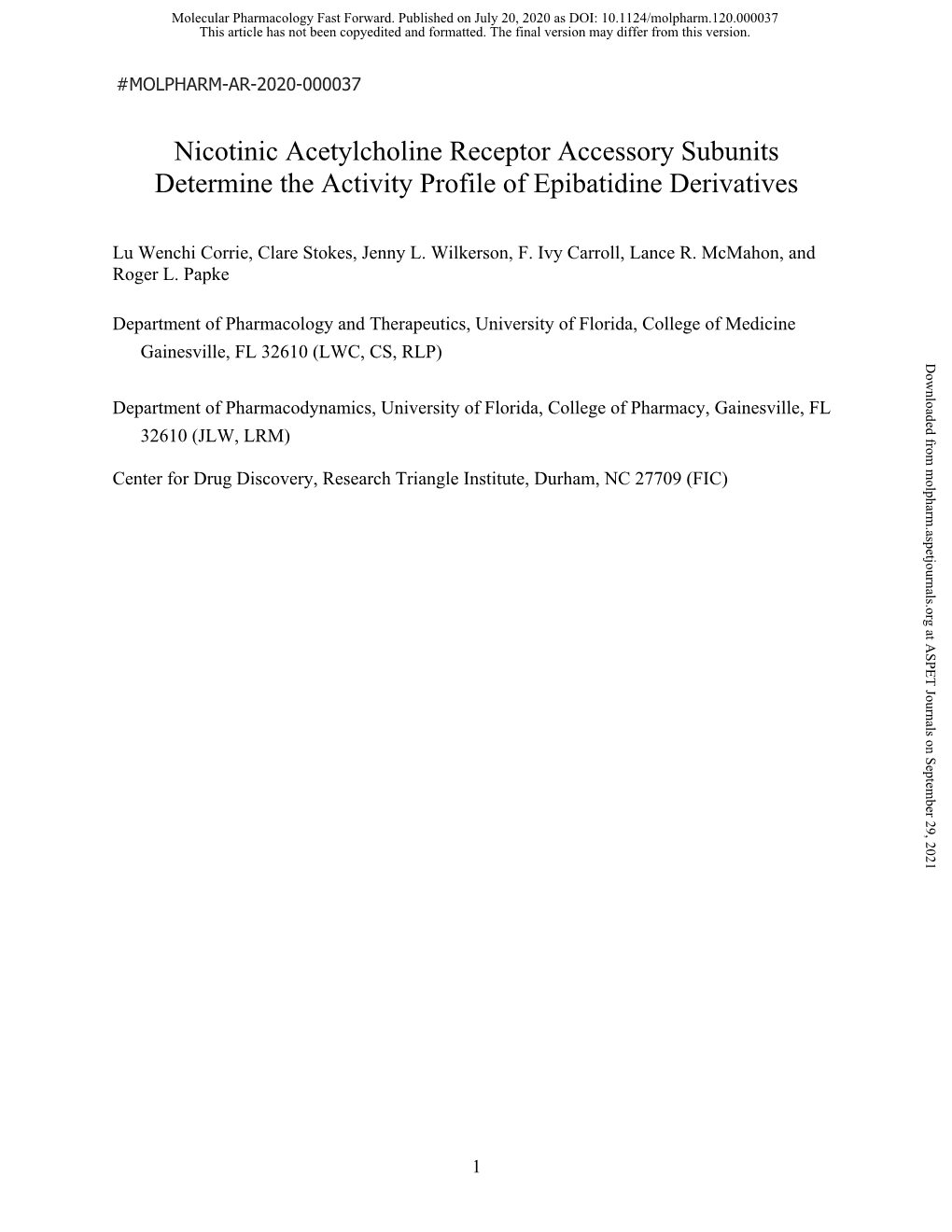 Nicotinic Acetylcholine Receptor Accessory Subunits Determine the Activity Profile of Epibatidine Derivatives