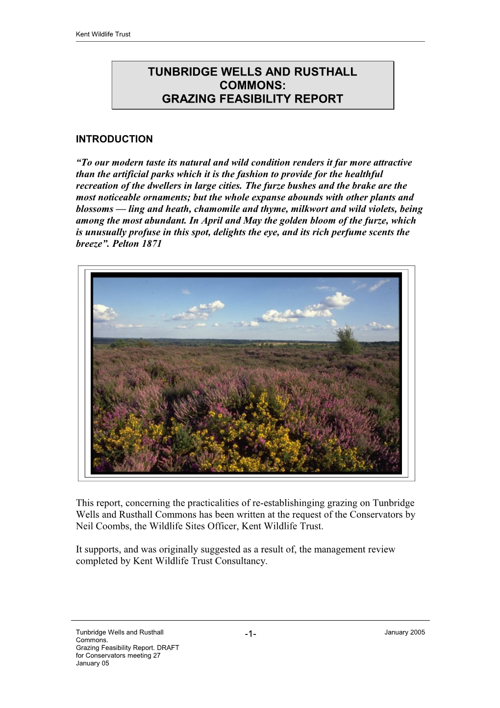 Tunbridge Wells and Rusthall Commons, Grazing Feasibility Report