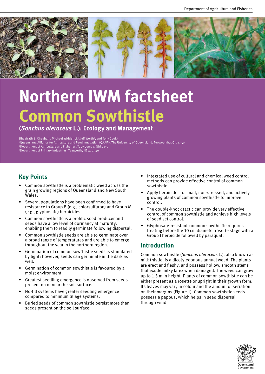 Common Sowthistle (Sonchus Oleraceus L.): Ecology and Management