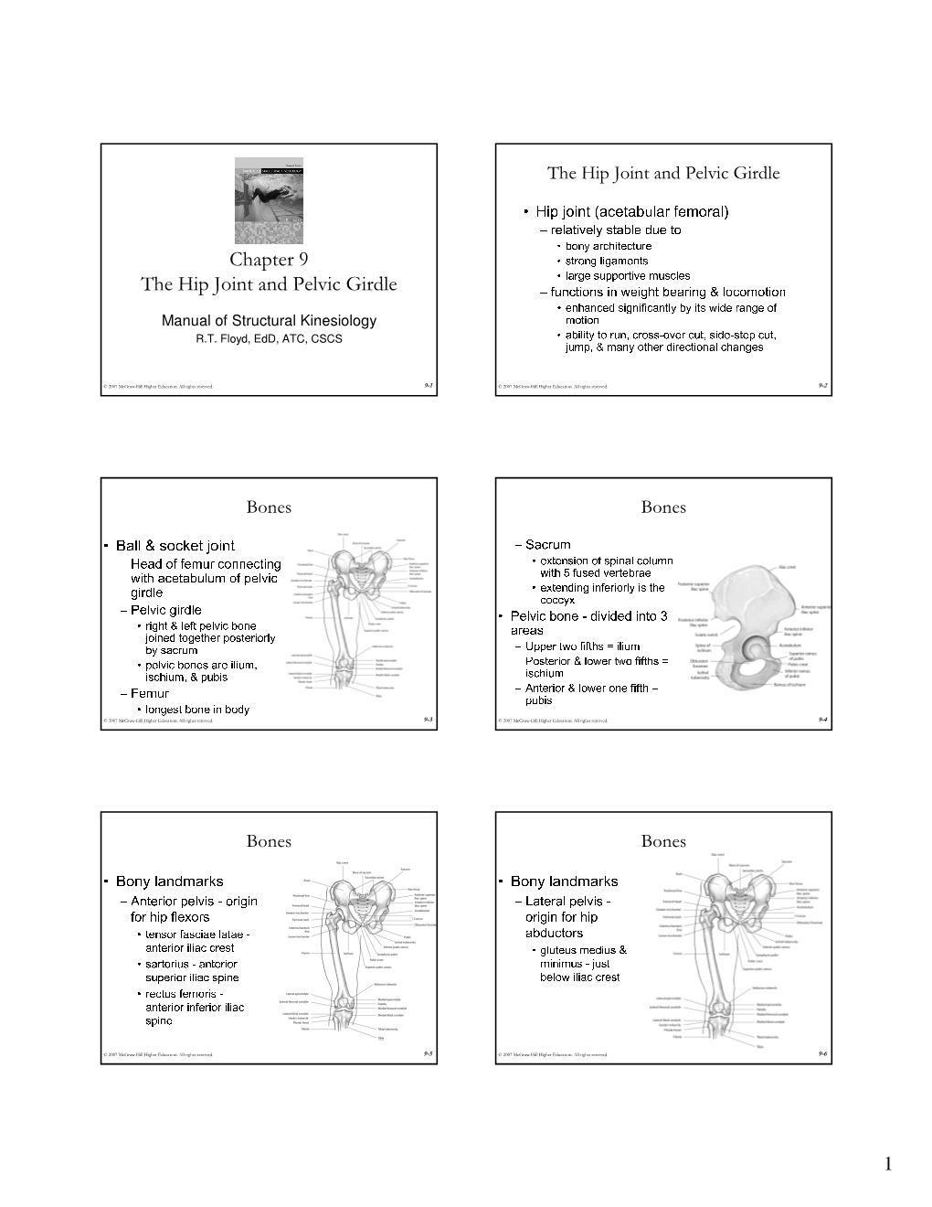 Chapter 9 the Hip Joint and Pelvic Girdle