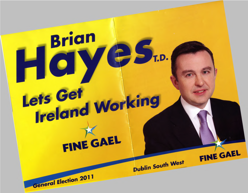 Brian Hayes TD in a Generation