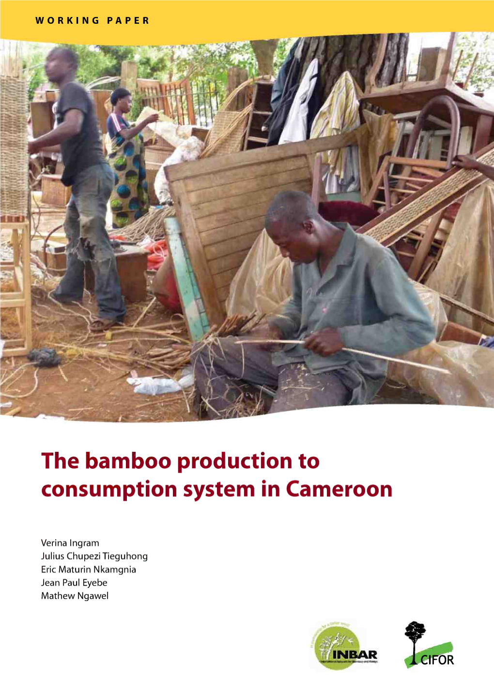 The Bamboo Production to Consumption System in Cameroon