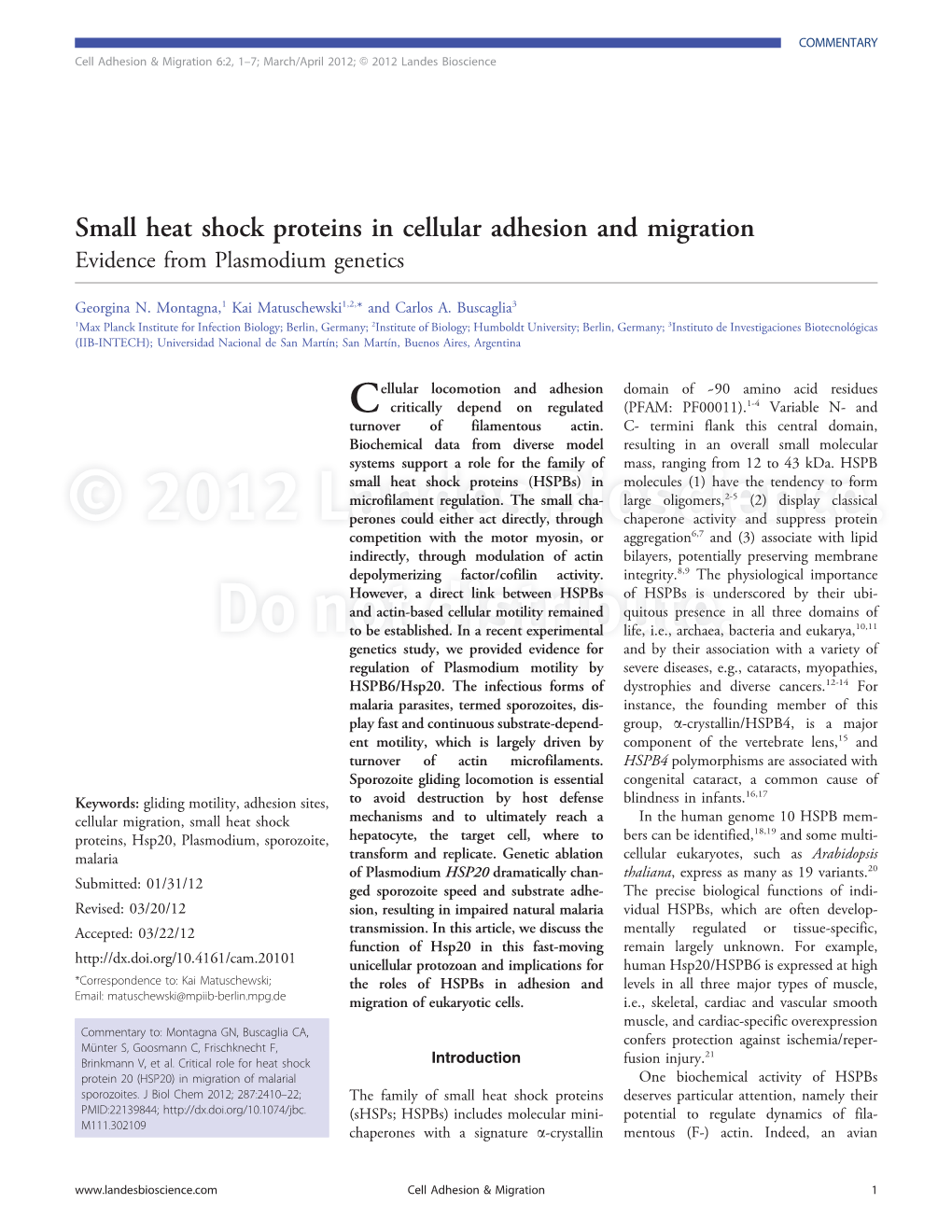 Small Heat Shock Proteins in Cellular Adhesion and Migration Evidence from Plasmodium Genetics