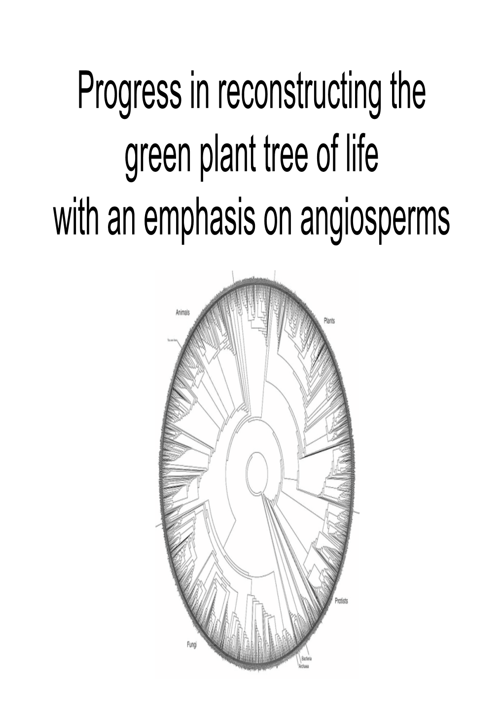 Progress in Reconstructing the Green Plant Tree of Life with an Emphasis on Angiosperms