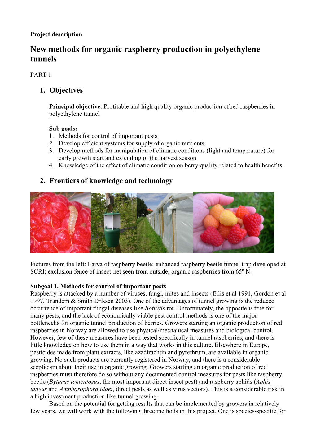 Organic Production of Raspberries in Plastic Tunnel