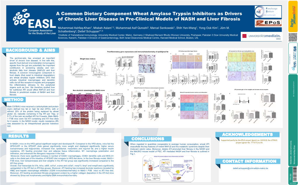 A Common Dietary Component Wheat Amylase Trypsin Inhibitors As Drivers of Chronic Liver Disease in Pre-Clinical Models of NASH and Liver Fibrosis