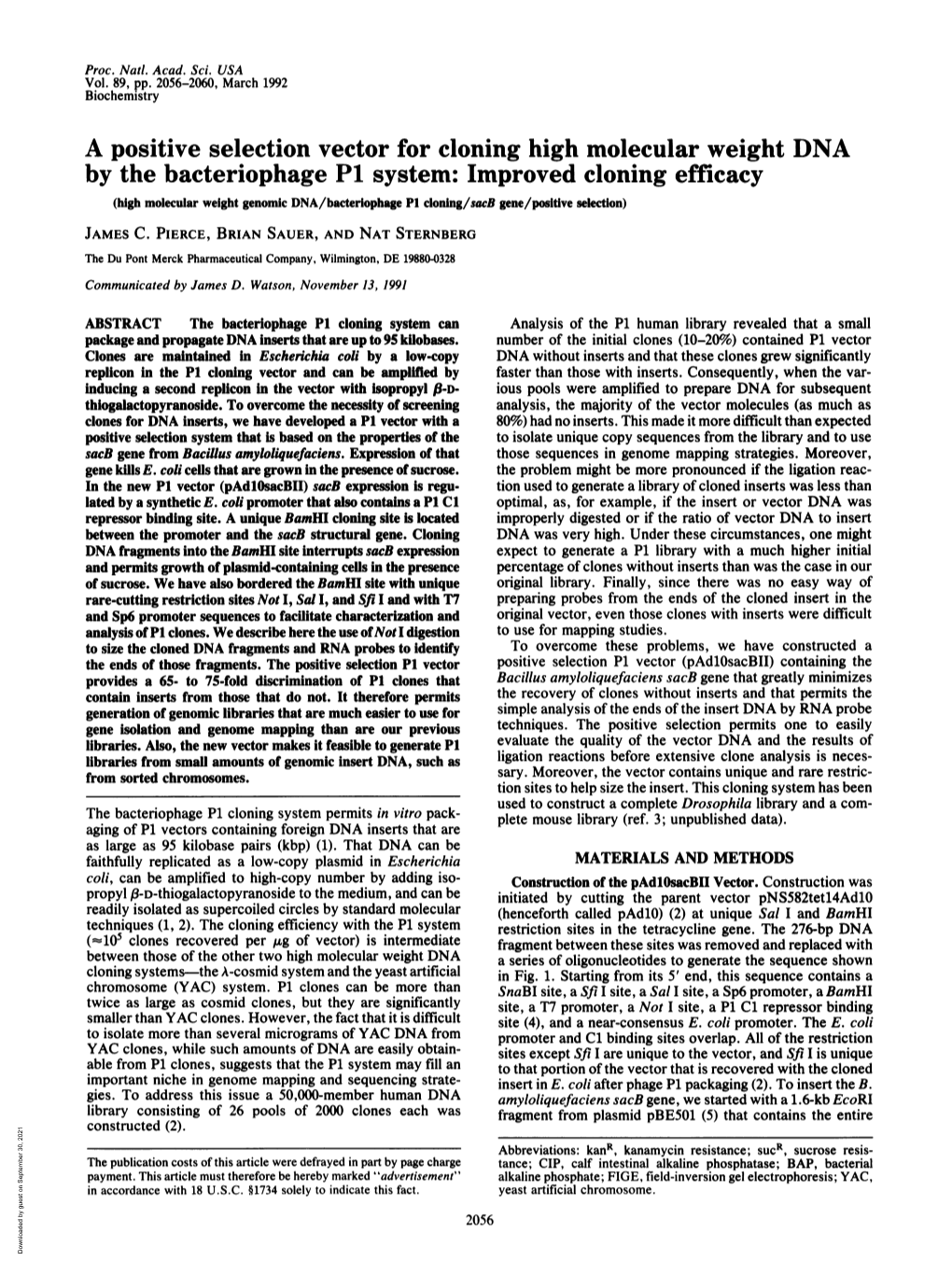 A Positive Selection Vector for Cloning High Molecular Weight DNA