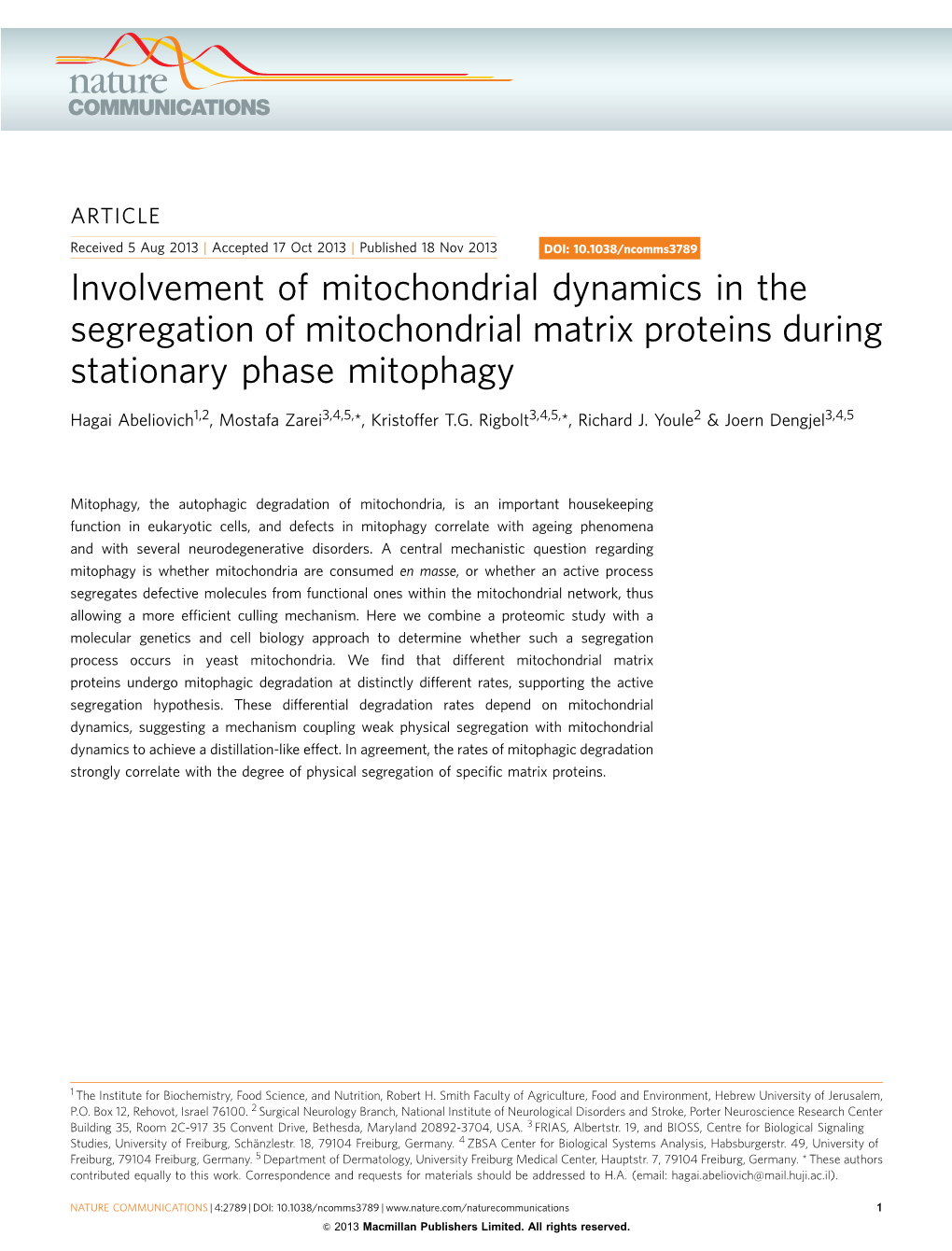 Involvement of Mitochondrial Dynamics in the Segregation of Mitochondrial Matrix Proteins During Stationary Phase Mitophagy