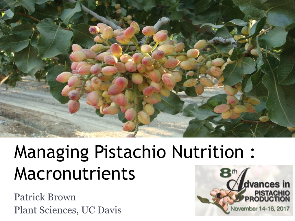 Managing Pistachio Nutrition : Macronutrients Patrick Brown Plant Sciences, UC Davis the Nutrient Cycle: a Balancing Act