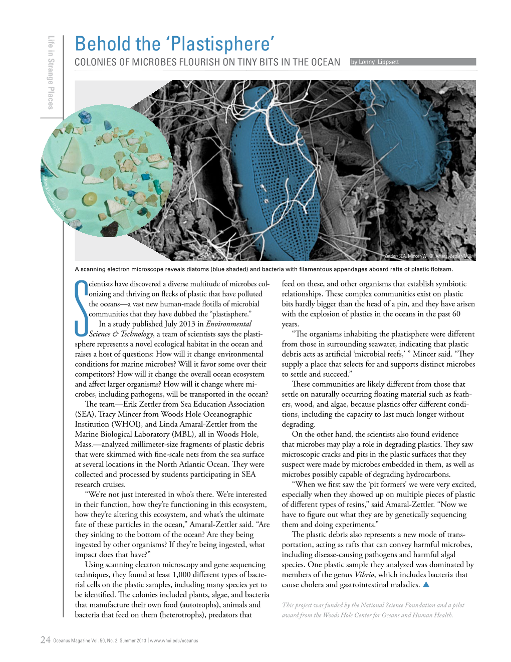 Plastisphere’ COLONIES of MICROBES FLOURISH on TINY BITS in the OCEAN by Lonny Lippsett