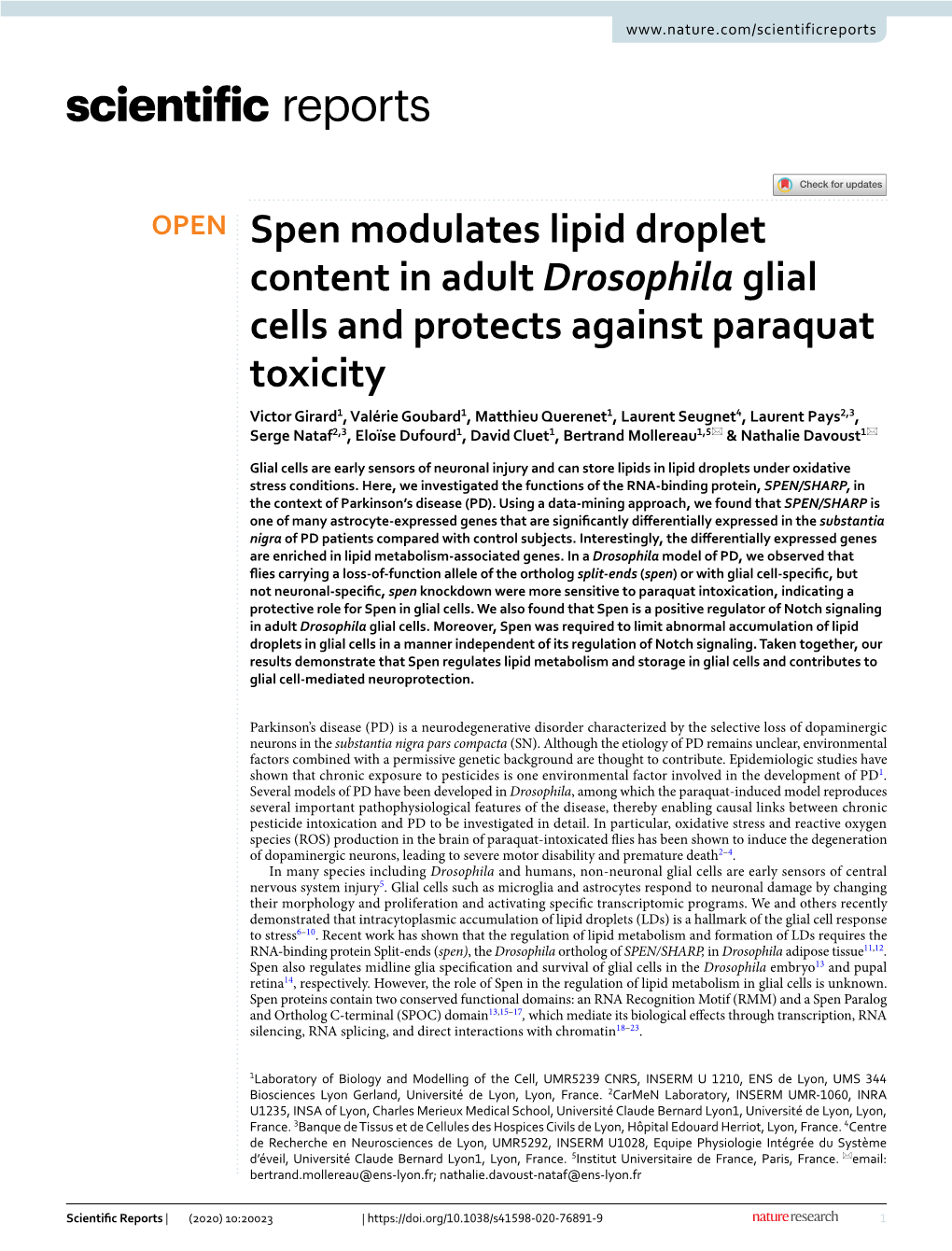 Spen Modulates Lipid Droplet Content in Adult Drosophila Glial Cells And