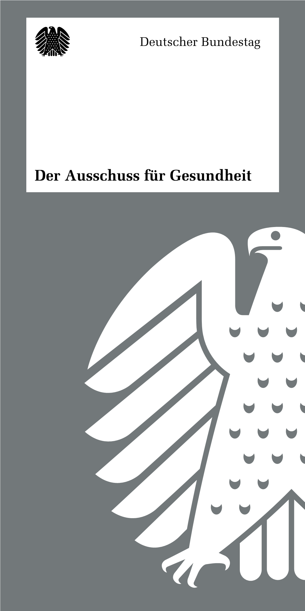 Der Ausschuss Für Gesundheit 2 „Im Zentrum Unserer Gesundheits- Politik Stehen Die Patientinnen Und Patienten