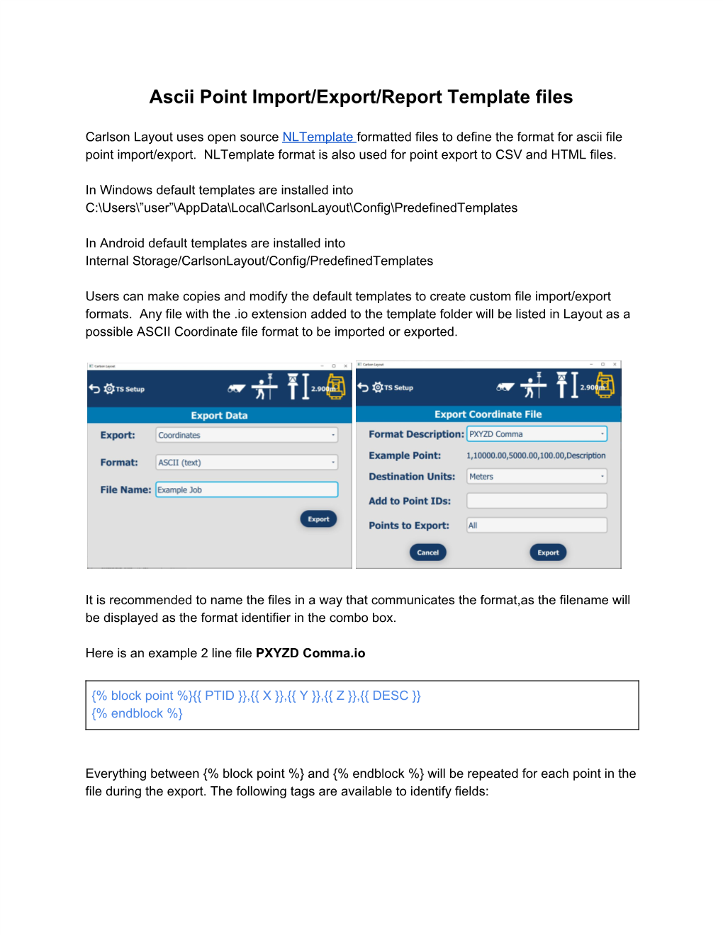 Ascii Point Import/Export/Report Template Files