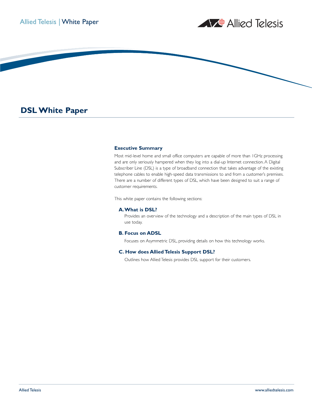 DSL White Paper