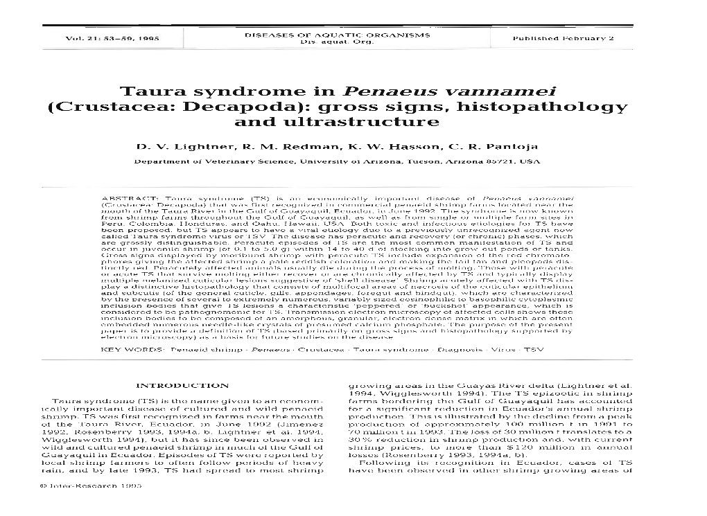 Taura Syndrome in Penaeus Vannamei (Crustacea: Decapoda): Gross Signs, Histopathology and Ultrastructure