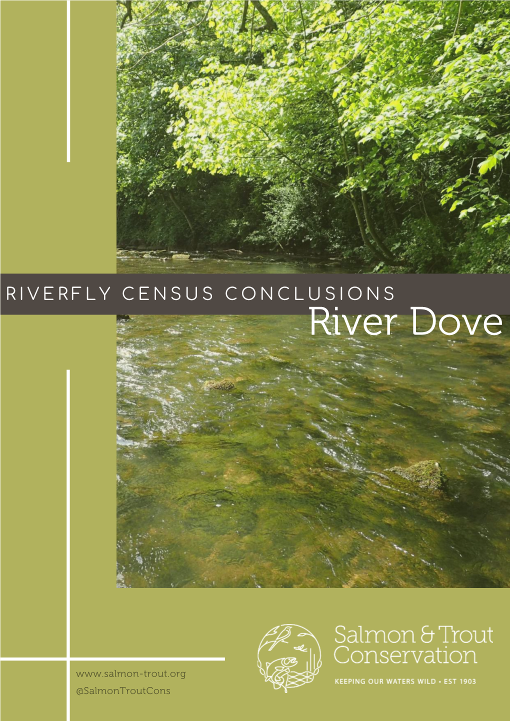 View River Dove Conclusions