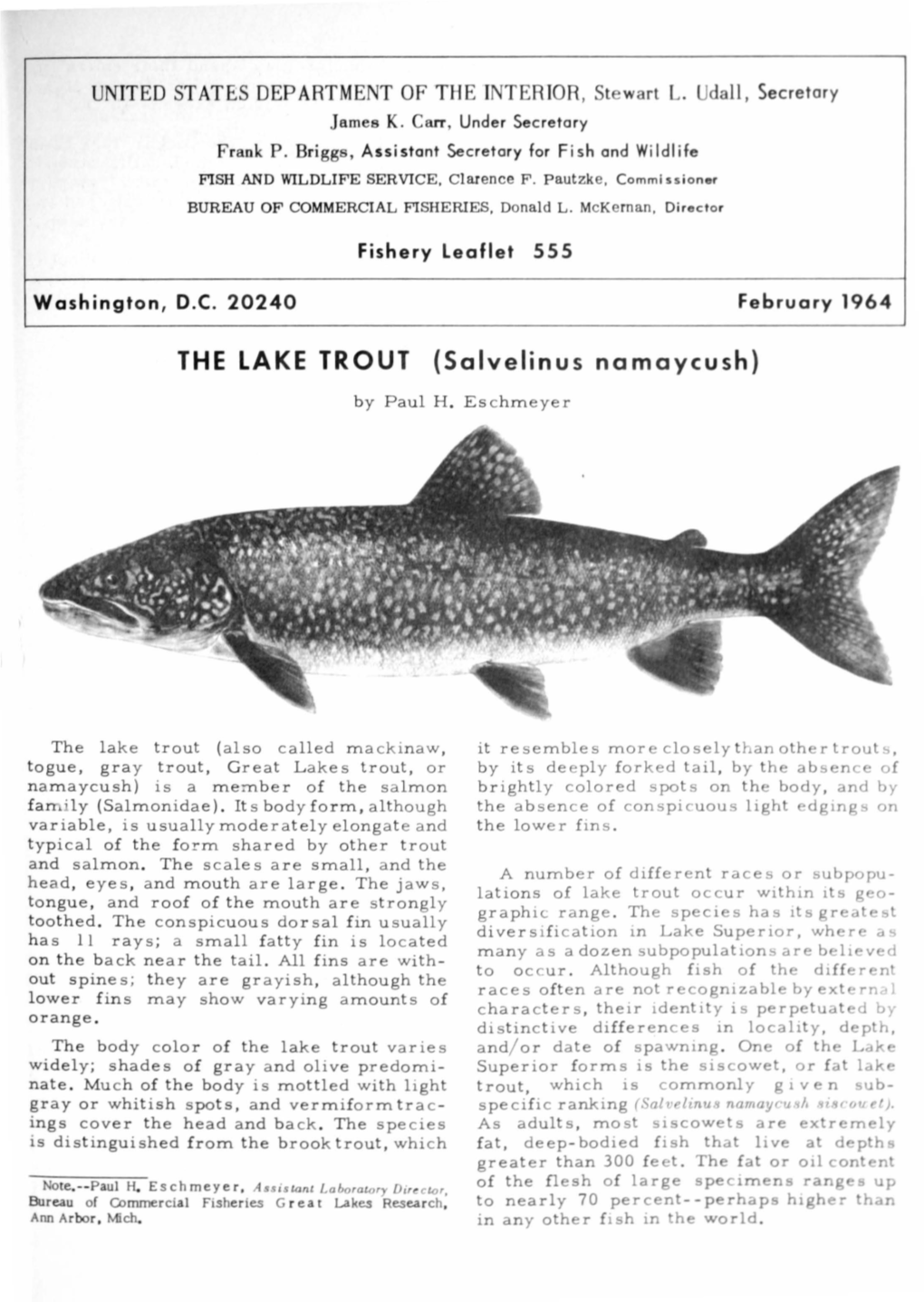 THE LAKE TROUT (Salvelinus Namaycush)