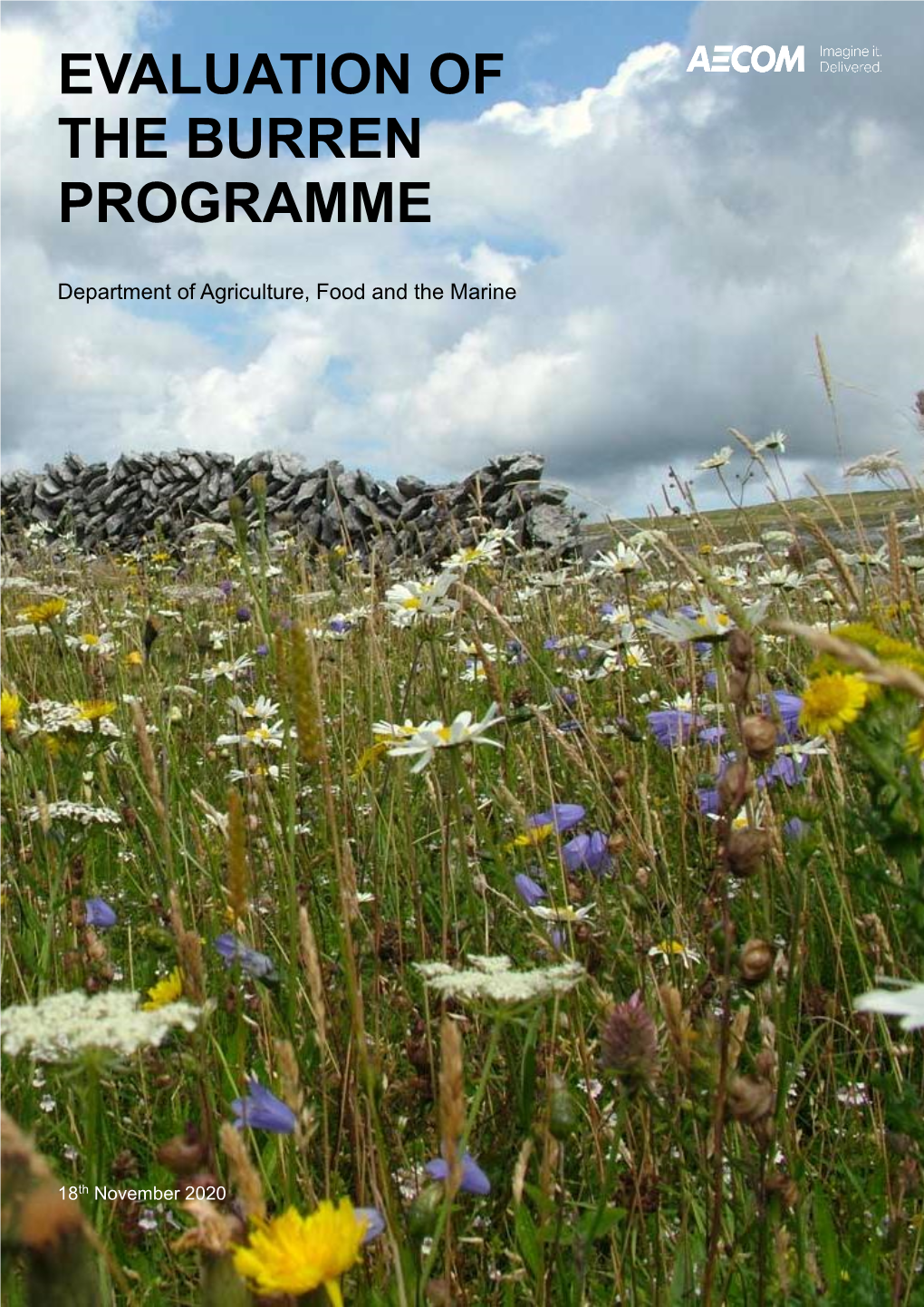 Evaluation of the Burren Programme