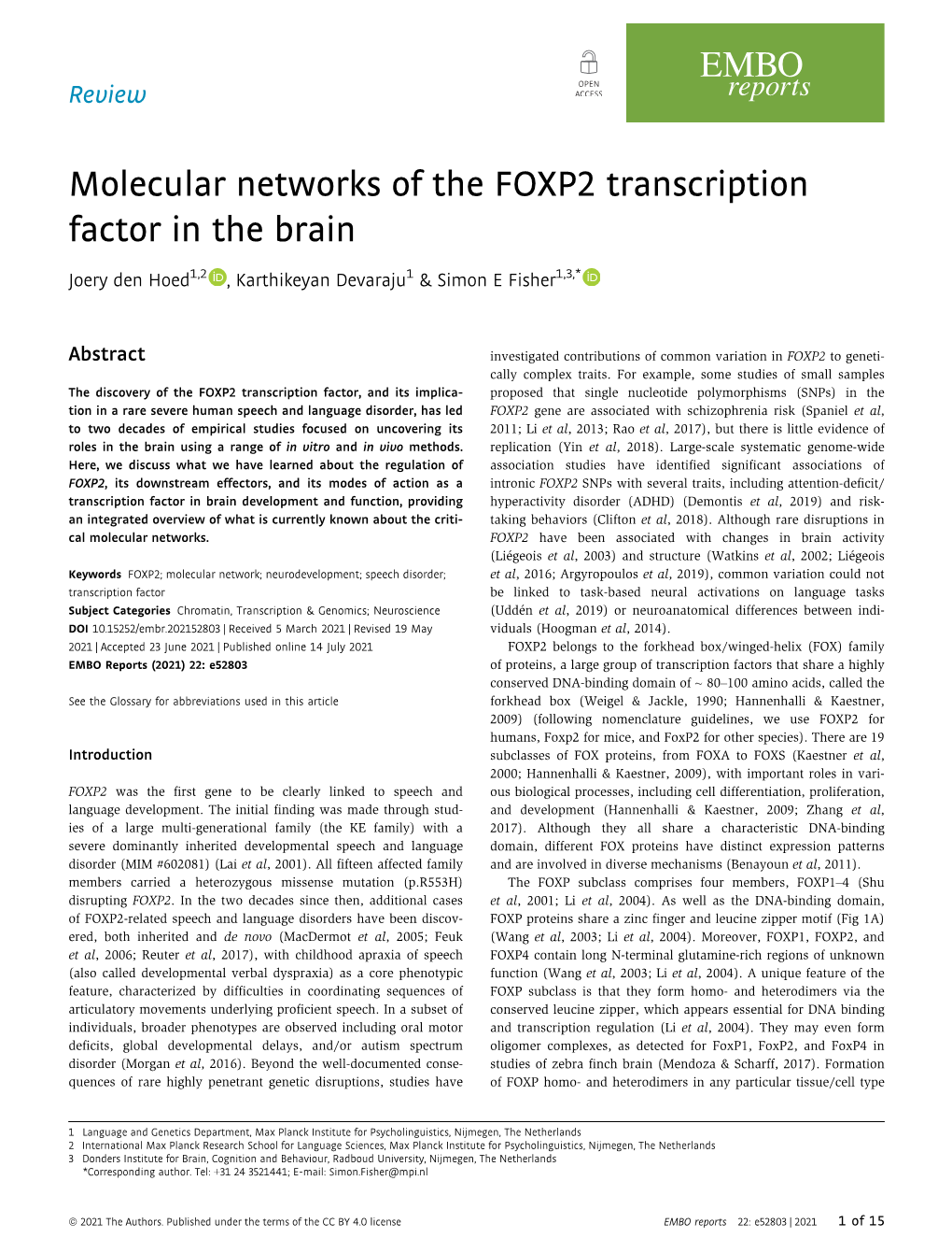 Molecular Networks of the FOXP2 Transcription Factor in the Brain