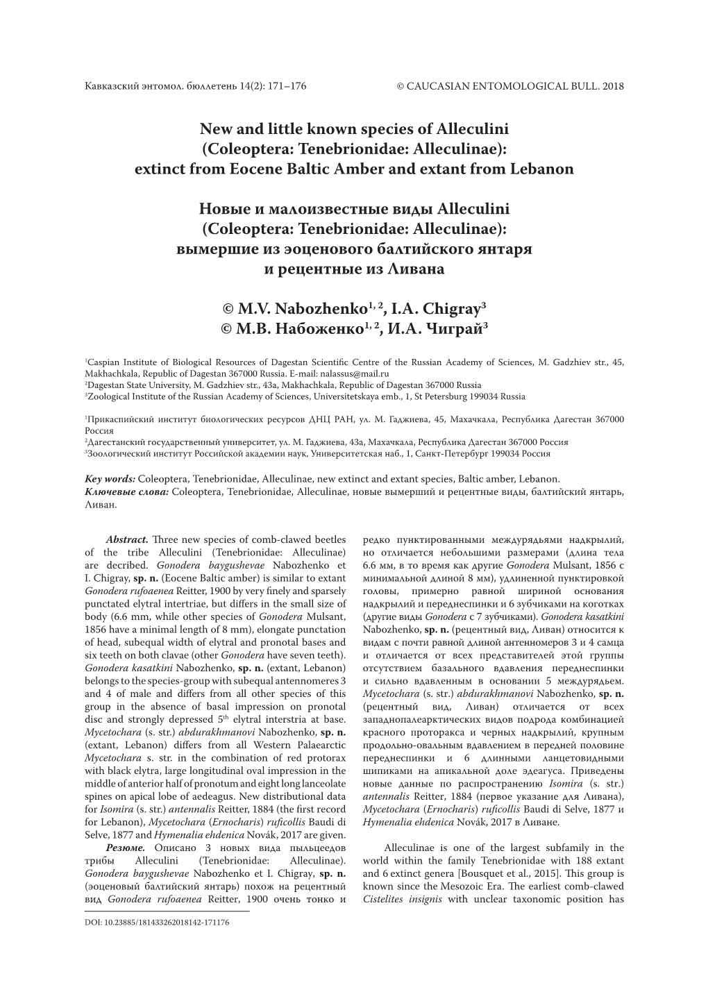 Coleoptera: Tenebrionidae: Alleculinae): Extinсt from Eocene Baltic Amber and Extant from Lebanon