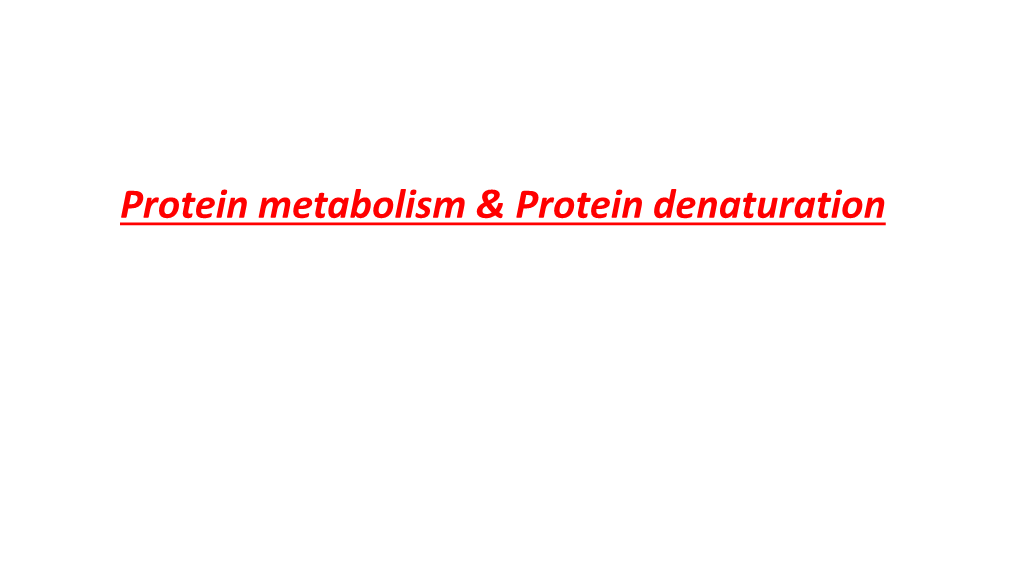 Protein Metabolism & Protein Denaturation