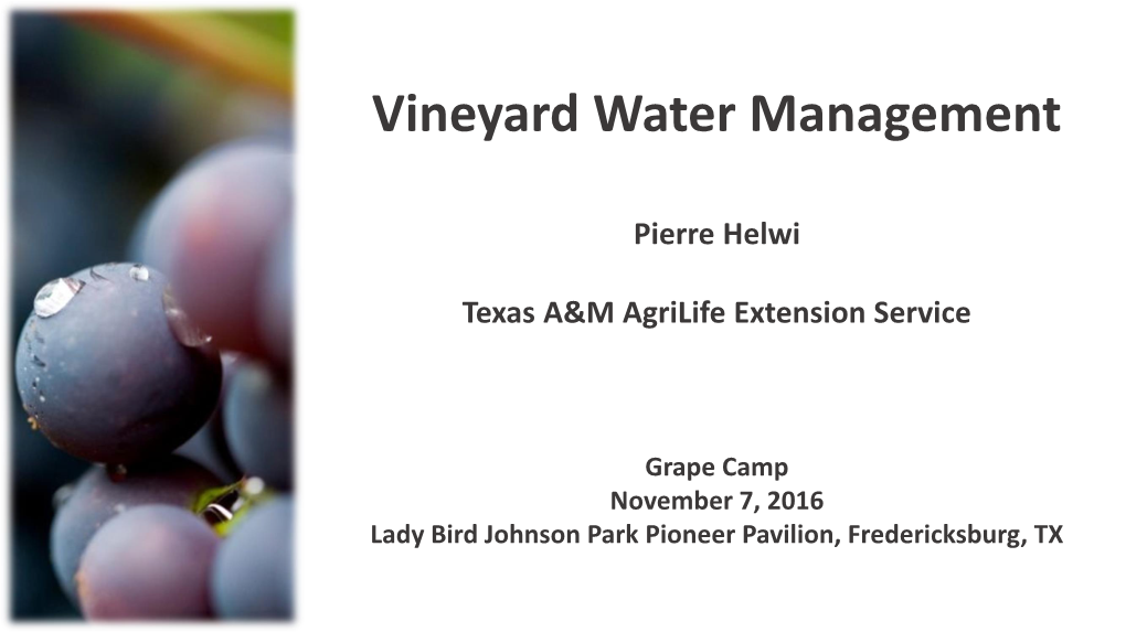 Vineyard Water Management