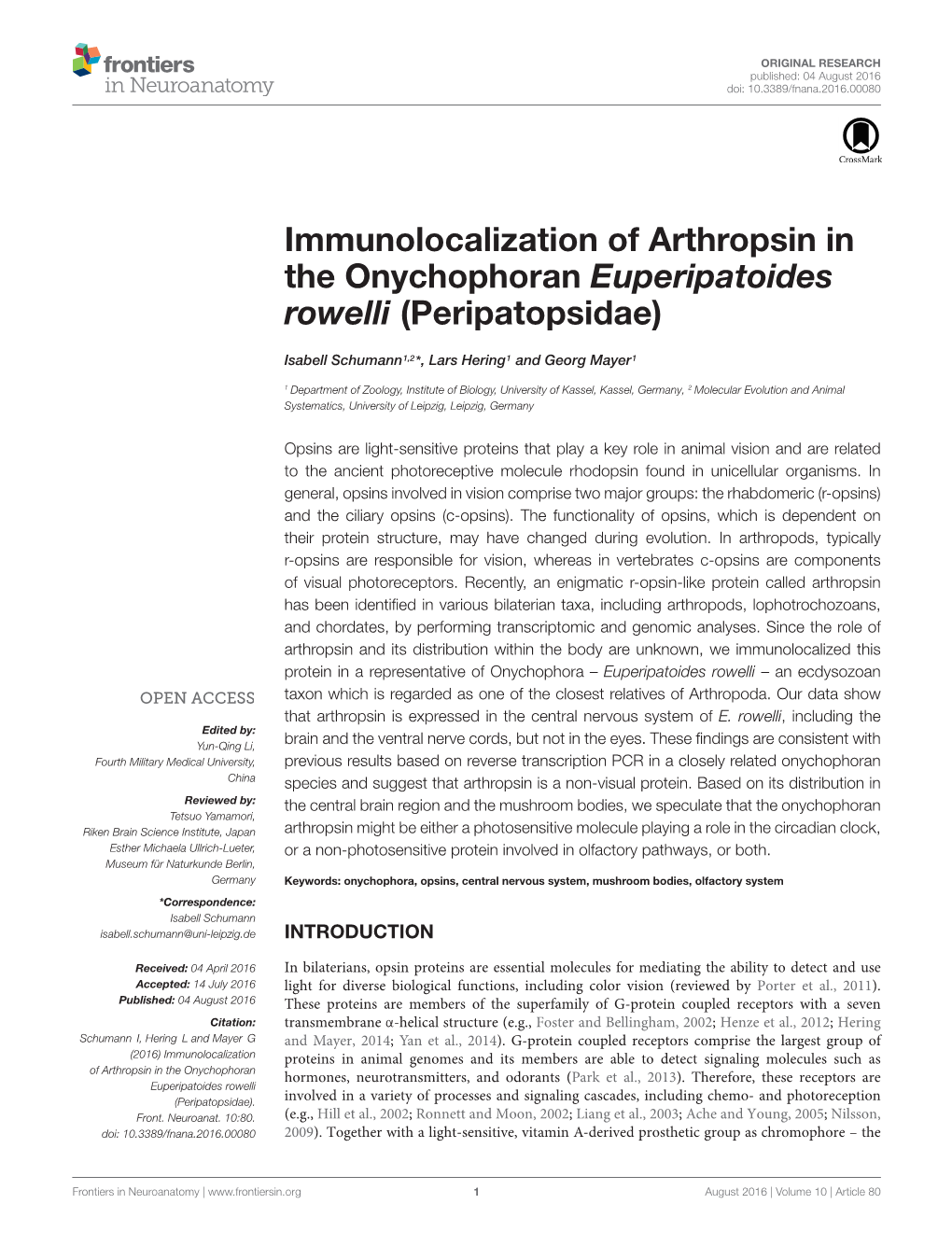 Immunolocalization of Arthropsin in the Onychophoran Euperipatoides Rowelli (Peripatopsidae)